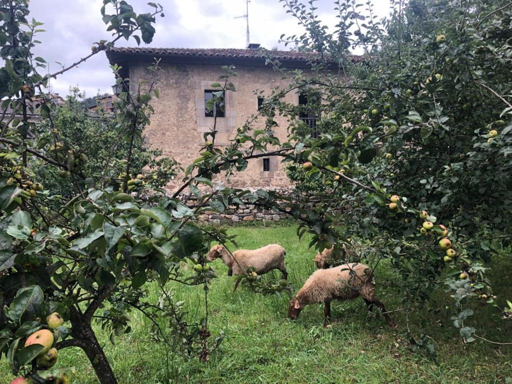 La Casona Del Xerron Villa El Condado Buitenkant foto