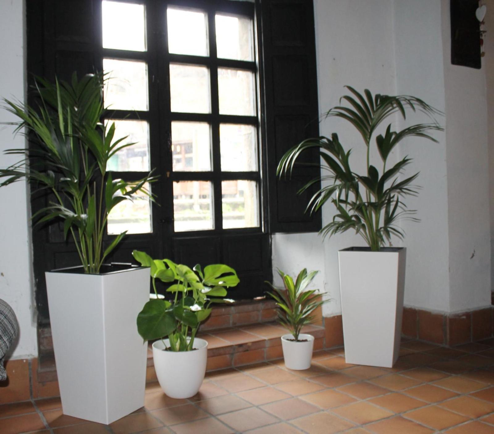 La Casona Del Xerron Villa El Condado Buitenkant foto